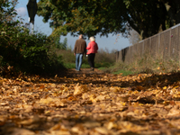 An old couple walks past the fallen leaves in Cologne, Germany, on October 23, 2024. (