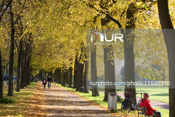 People walk past the fallen leaves in Cologne, Germany, on October 23, 2024. 