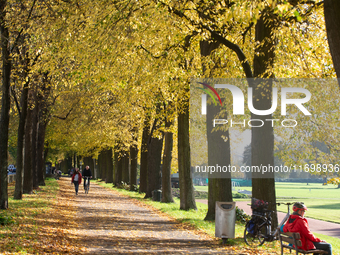 People walk past the fallen leaves in Cologne, Germany, on October 23, 2024. (