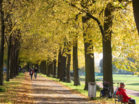 People walk past the fallen leaves in Cologne, Germany, on October 23, 2024. (