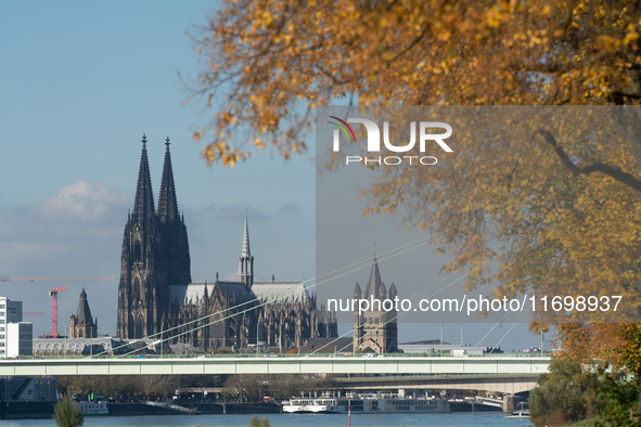 The yellow leaves of trees appear with Cologne Cathedral in the background in Cologne, Germany, on October 23, 2024. 