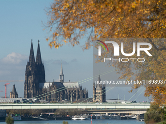 The yellow leaves of trees appear with Cologne Cathedral in the background in Cologne, Germany, on October 23, 2024. (