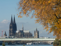 The yellow leaves of trees appear with Cologne Cathedral in the background in Cologne, Germany, on October 23, 2024. (