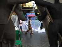 A man with an umbrella walks on a road during rains caused by Cyclone Dana in Kolkata, India, on October 23, 2024. The Regional Meteorologic...