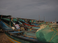 Fishermen And The Members Of Their Community Are See At The Bay Of Bengal Sea's Eastern Coast Chandrabhaga Beach At Konark , 65 Km Away From...