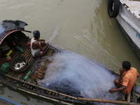 Fishermen catch fish in the Hooghly River near Kolkata, India, on October 23, 2024. (