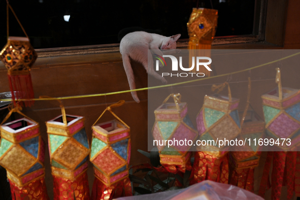 A cat sleeps at a lantern market ahead of the Hindu festival of Diwali in Mumbai, India, on October 23, 2024. 