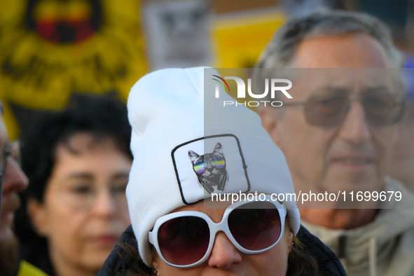 Protesters are seen outside city hall rallying against conditions in cat shelters in Warsaw, Poland on 23 October, 2024. Deaths of cats put...