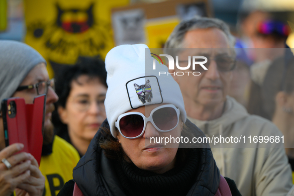 Protesters are seen outside city hall rallying against conditions in cat shelters in Warsaw, Poland on 23 October, 2024. Deaths of cats put...