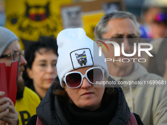 Protesters are seen outside city hall rallying against conditions in cat shelters in Warsaw, Poland on 23 October, 2024. Deaths of cats put...