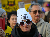 Protesters are seen outside city hall rallying against conditions in cat shelters in Warsaw, Poland on 23 October, 2024. Deaths of cats put...