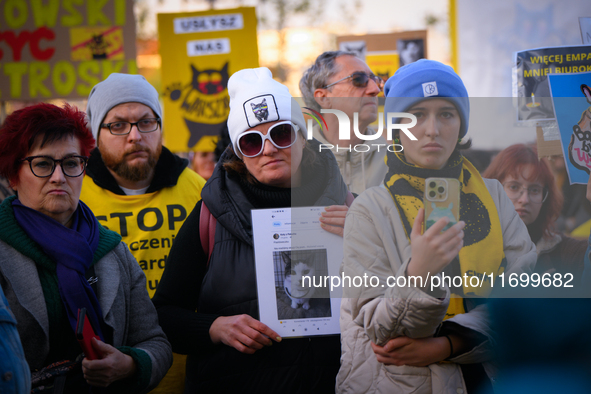 Protesters are seen outside city hall rallying against conditions in cat shelters in Warsaw, Poland on 23 October, 2024. Deaths of cats put...