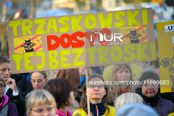 Protesters are seen outside city hall rallying against conditions in cat shelters in Warsaw, Poland on 23 October, 2024. Deaths of cats put...