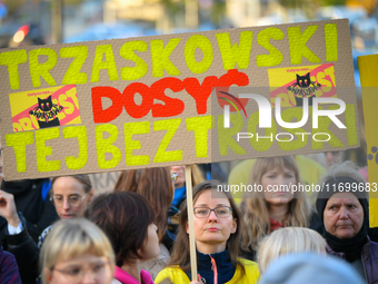 Protesters are seen outside city hall rallying against conditions in cat shelters in Warsaw, Poland on 23 October, 2024. Deaths of cats put...