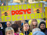 Protesters are seen outside city hall rallying against conditions in cat shelters in Warsaw, Poland on 23 October, 2024. Deaths of cats put...