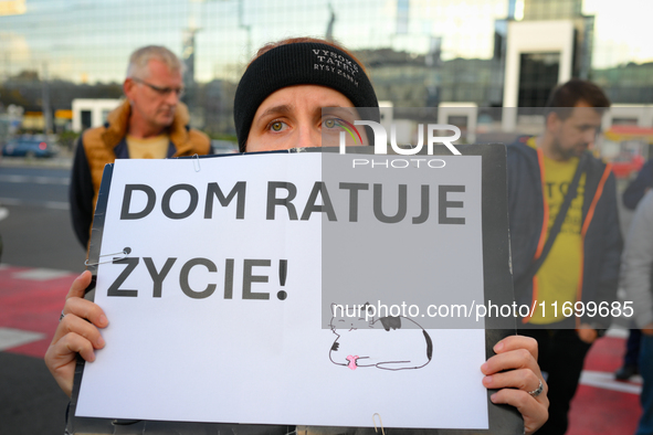 Protesters are seen outside city hall rallying against conditions in cat shelters in Warsaw, Poland on 23 October, 2024. Deaths of cats put...