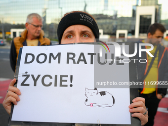 Protesters are seen outside city hall rallying against conditions in cat shelters in Warsaw, Poland on 23 October, 2024. Deaths of cats put...