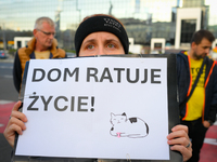 Protesters are seen outside city hall rallying against conditions in cat shelters in Warsaw, Poland on 23 October, 2024. Deaths of cats put...