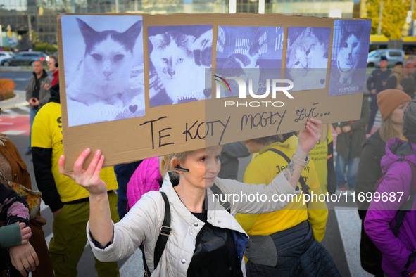 Protesters are seen outside city hall rallying against conditions in cat shelters in Warsaw, Poland on 23 October, 2024. Deaths of cats put...