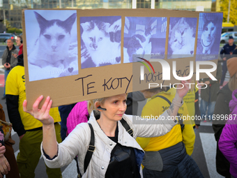 Protesters are seen outside city hall rallying against conditions in cat shelters in Warsaw, Poland on 23 October, 2024. Deaths of cats put...