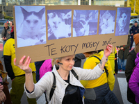 Protesters are seen outside city hall rallying against conditions in cat shelters in Warsaw, Poland on 23 October, 2024. Deaths of cats put...