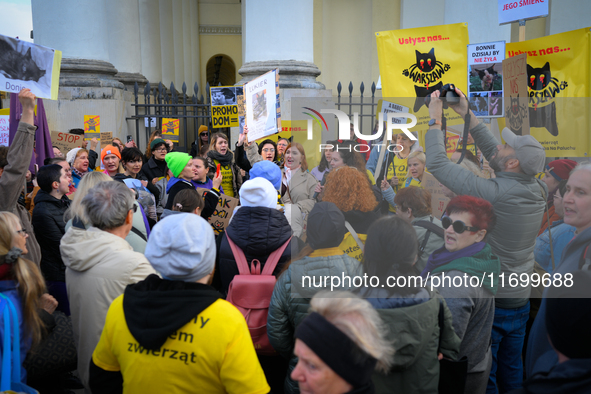 Protesters are seen outside city hall rallying against conditions in cat shelters in Warsaw, Poland on 23 October, 2024. Deaths of cats put...