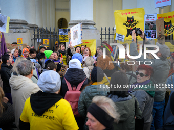 Protesters are seen outside city hall rallying against conditions in cat shelters in Warsaw, Poland on 23 October, 2024. Deaths of cats put...