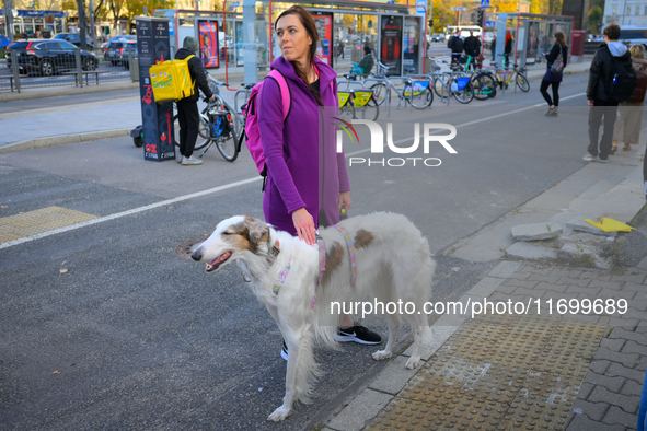 A woman with a large dog is seen outside city hall during a rally against conditions in cat shelters in Warsaw, Poland on 23 October, 2024....