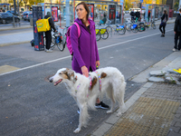 A woman with a large dog is seen outside city hall during a rally against conditions in cat shelters in Warsaw, Poland on 23 October, 2024....