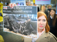 Protesters are seen outside city hall rallying against conditions in cat shelters in Warsaw, Poland on 23 October, 2024. Deaths of cats put...