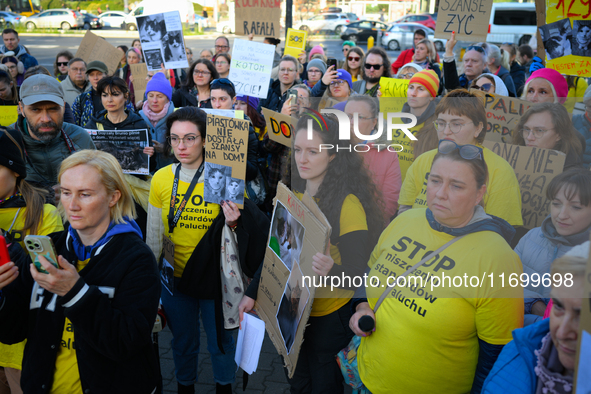 Protesters are seen outside city hall rallying against conditions in cat shelters in Warsaw, Poland on 23 October, 2024. Deaths of cats put...