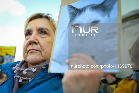 Protesters are seen outside city hall rallying against conditions in cat shelters in Warsaw, Poland on 23 October, 2024. Deaths of cats put...