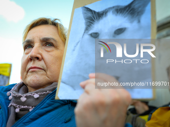 Protesters are seen outside city hall rallying against conditions in cat shelters in Warsaw, Poland on 23 October, 2024. Deaths of cats put...