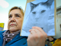 Protesters are seen outside city hall rallying against conditions in cat shelters in Warsaw, Poland on 23 October, 2024. Deaths of cats put...