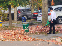 A boy uses a leaf blower to clear fallen leaves during the autumn season in Toronto, Ontario, Canada, on October 22, 2024. (