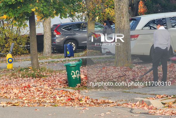 A boy uses a leaf blower to clear fallen leaves during the autumn season in Toronto, Ontario, Canada, on October 22, 2024. 