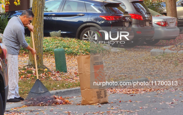 A man rakes leaves during the autumn season in Toronto, Ontario, Canada, on October 22, 2024. 