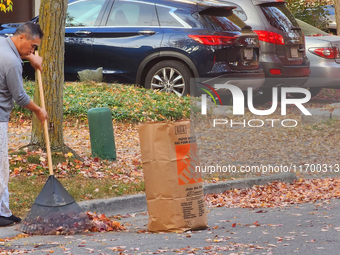 A man rakes leaves during the autumn season in Toronto, Ontario, Canada, on October 22, 2024. (