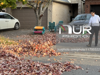 A boy uses a leaf blower to clear fallen leaves during the autumn season in Toronto, Ontario, Canada, on October 22, 2024. (