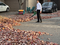 A boy uses a leaf blower to clear fallen leaves during the autumn season in Toronto, Ontario, Canada, on October 22, 2024. (