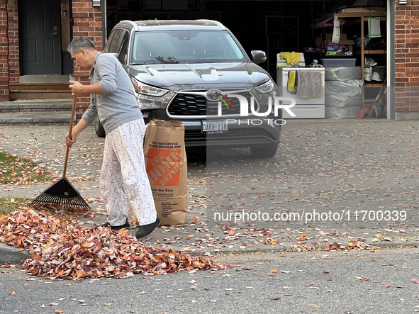 A man rakes leaves during the autumn season in Toronto, Ontario, Canada, on October 22, 2024. 