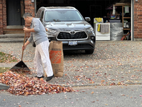 A man rakes leaves during the autumn season in Toronto, Ontario, Canada, on October 22, 2024. (