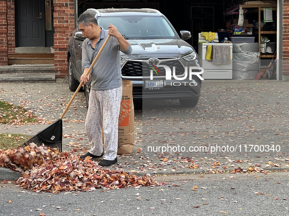 A man rakes leaves during the autumn season in Toronto, Ontario, Canada, on October 22, 2024. 