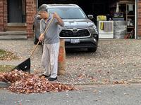 A man rakes leaves during the autumn season in Toronto, Ontario, Canada, on October 22, 2024. (