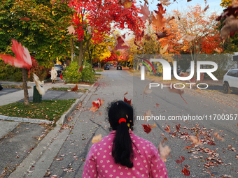 A woman plays with the colorful leaves during the autumn season in Toronto, Ontario, Canada, on October 22, 2024. (