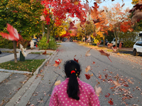 A woman plays with the colorful leaves during the autumn season in Toronto, Ontario, Canada, on October 22, 2024. (