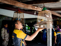 A member of the community wishes for luck with his bird. Special Forces, the Black Army, and Volunteer Force Operations in Thailand's Deep S...