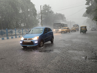 Public vehicles run on the street during the heavy rain due to Cyclone Dana in Kolkata, India, on October 25, 2024. (