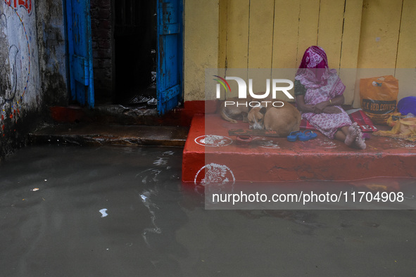 A lady and street dogs stand in a doorway to escape water on a flooded road in Kolkata, India, on October 25, 2024, after heavy rain brought...