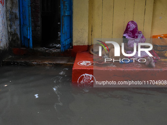 A lady and street dogs stand in a doorway to escape water on a flooded road in Kolkata, India, on October 25, 2024, after heavy rain brought...